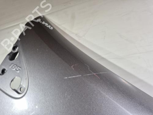 Right front fenders RENAULT CLIO III (BR0/1, CR0/1) 1.2 16V (BR02, BR0J, BR11, CR02, CR0J, CR11) | BP31312963C42 