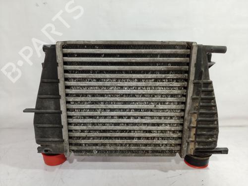 Used Intercooler RENAULT CLIO III (BR0/1, CR0/1) 1.5 dCi (75 hp) 9840733