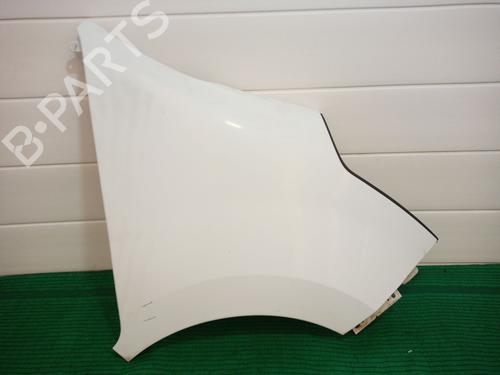 Used Right front fenders RENAULT MASTER III Van (FV) 2.3 dCi 130 RWD (FV01, FV10, FV11, FV12) (130 hp) 30330056