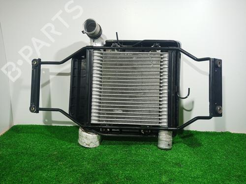 Used Intercooler KIA CARENS II MPV (FJ) [2002-2013]  13459117