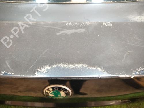 Bakluke CC/Kombi-Kupé SKODA OCTAVIA II (1Z3) 1.6 TDI | BP17914521C6 