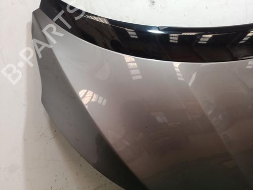 Hood RENAULT SCÉNIC III (JZ0/1_)  | BP22354284C1 