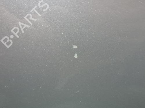 Left front door MERCEDES-BENZ A-CLASS (W169) A 180 CDI (169.007, 169.307) | BP29445525C2 