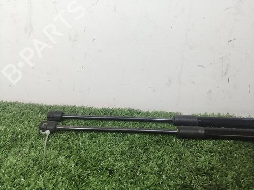 Tailgate lift support SKODA FABIA II (542) 1.2 TSI | BP19276079C138 