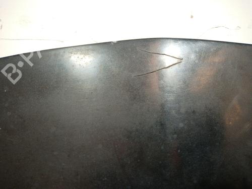 Hood RENAULT CLIO III (BR0/1, CR0/1) 1.2 16V (BR02, BR0J, BR11, CR02, CR0J, CR11) | BP16929361C1 