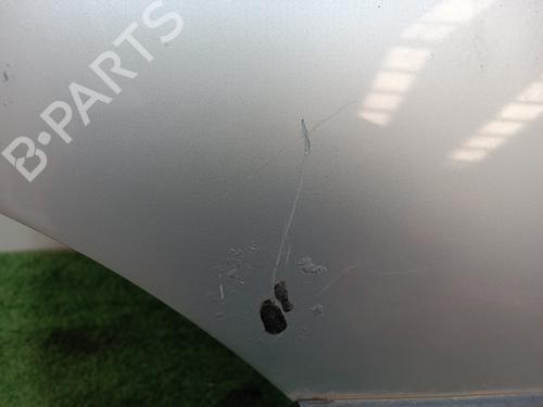 Right rear door BMW X5 (E53)  | BP16522403C5 