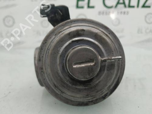 Egr BMW 3 (E46) 320 d | BP8094198M69 