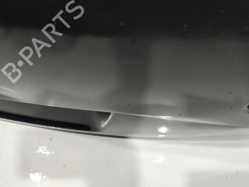 Tailgate VW TOUAREG (7LA, 7L6, 7L7) 3.0 V6 TDI | BP16574632C6 