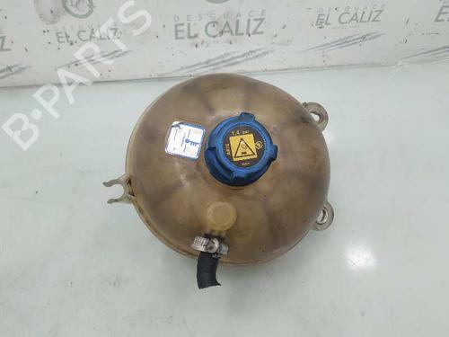 Ekspansjonstank FIAT STILO (192_) 1.9 JTD (192_XE1A) | BP8093213C120 