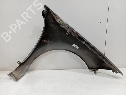 Left front fenders RENAULT MEGANE II Saloon (LM0/1_) 1.9 dCi (LM0G, LM1G, LM2C) | BP13091184C41 