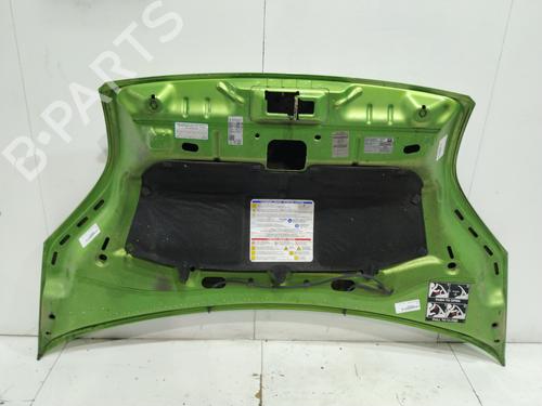 Hood FIAT FIORINO Box Body/MPV (225_) 1.3 D Multijet (225BXD1A, 225BXB1A, 225BXB11) | BP29965925C1