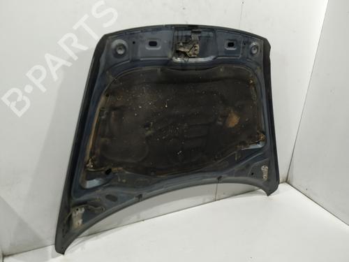 Hood VW TOUAREG (7LA, 7L6, 7L7) 3.0 V6 TDI | BP16574623C1 