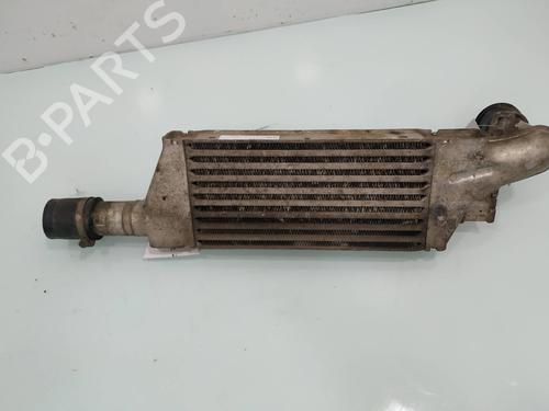 Intercooler OPEL COMBO Box Body/MPV 1.3 CDTI 16V | BP11692533M30 