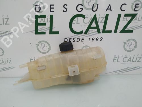Used Expansion tank RENAULT CLIO III (BR0/1, CR0/1) 1.2 16V (BR0R, BR1D, BR1L, CR0R) (65 hp) 8089247