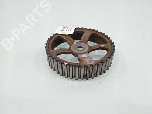 Used Pulley RENAULT SCÉNIC II (JM0/1_) [2003-2010]  24939712