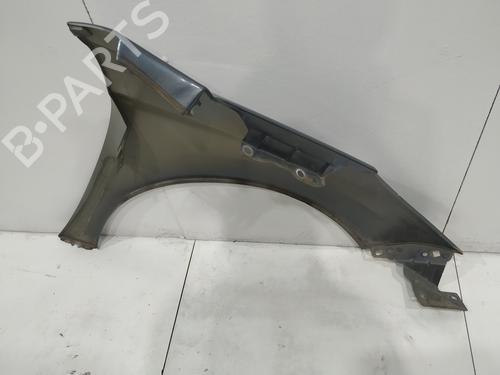 Left front fenders PEUGEOT 207 (WA_, WC_) 1.4 HDi | BP29156836C41 