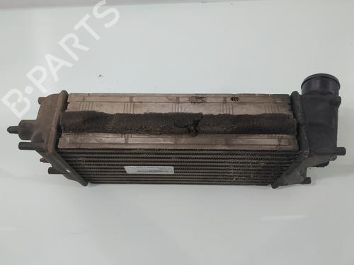Intercooler FORD FIESTA VI (CB1, CCN) 1.6 TDCi | BP29904442M30