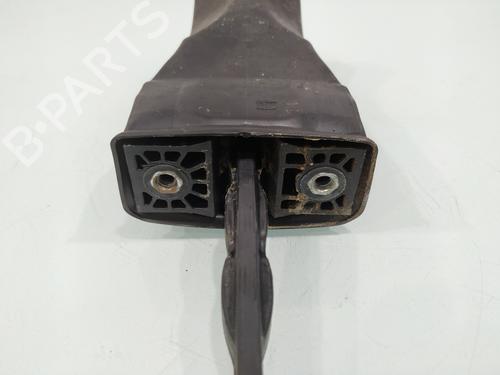 Hinge/Door check strap SEAT IBIZA IV (6J5, 6P1)  | BP32072185C146 