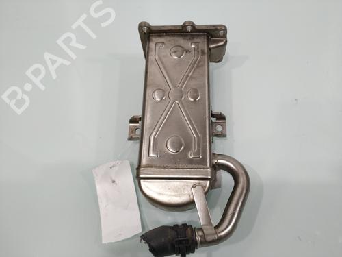Egr VW PASSAT B7 Variant (365)  | BP29532165M69 