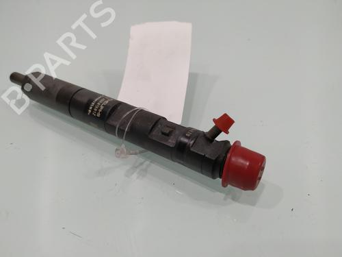 Injector RENAULT MEGANE II (BM0/1_, CM0/1_) | BP28191617M100