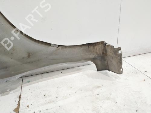 Left front fenders FORD FIESTA VI (CB1, CCN) 1.6 TDCi | BP29913307C41 
