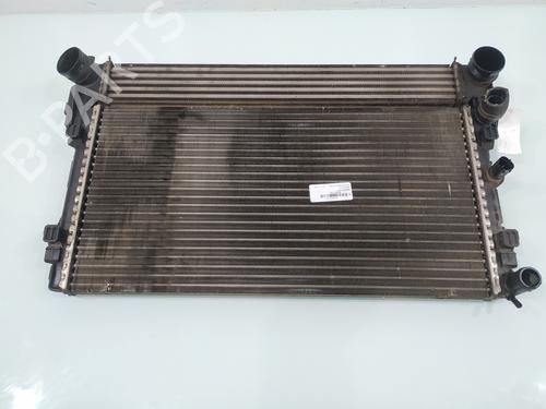 Used Water radiator SEAT IBIZA IV (6J5, 6P1) [2008-2017]  31380299