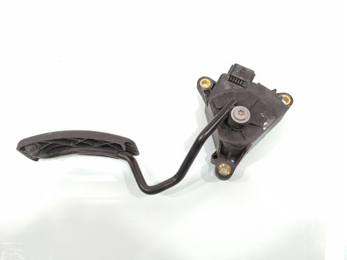 Pedal RENAULT CLIO III (BR0/1, CR0/1)  | BP27323013I4 