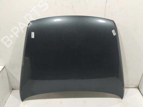 Hood VW TOUAREG (7LA, 7L6, 7L7) 3.0 V6 TDI | BP16574623C1 
