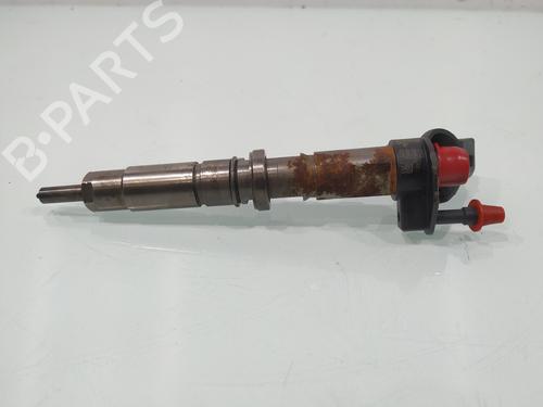 Injector VW CRAFTER 30-50 Van (2E_)  | BP31248200M100 