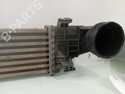 Intercooler MERCEDES-BENZ E-CLASS (W211) E 270 CDI (211.016) | BP29448704M30 