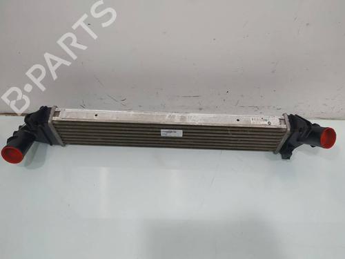 Intercooler DACIA SANDERO | BP39696593M30 - Image 6