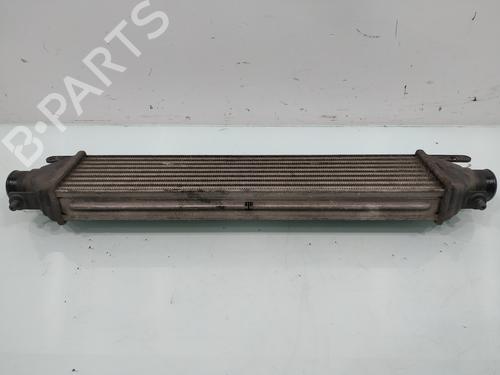 Intercooler FIAT BRAVO II (198_) 1.6 D Multijet (198AXH1B) | BP31670518M30 