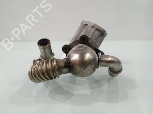 Egr FIAT FIORINO Box Body/MPV (225_) 1.3 D Multijet (225BXD1A, 225BXB1A, 225BXB11) | BP29955682M69