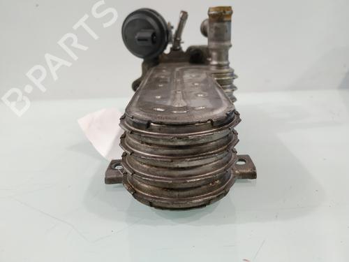 Egr AUDI A3 (8P1)  | BP29955710M69 