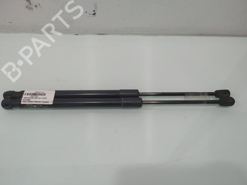 tailgate-lift-support-renault-megane-iii-hatchback-bz01_-b3_-2008-37012286 main image