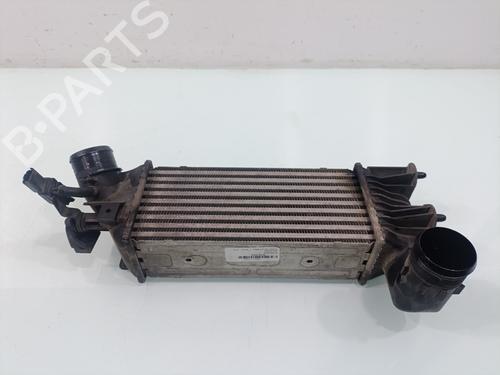 Used Intercooler Intercooler PEUGEOT 607 (9D, 9U) [2000-2026] 33955029 33955029