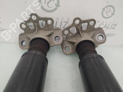 Right rear shock absorber FIAT GRANDE PUNTO (199_) 1.3 D Multijet (199.AXD11, 199.AXD1A, 199.AXD1B,... | BP14029161M19 