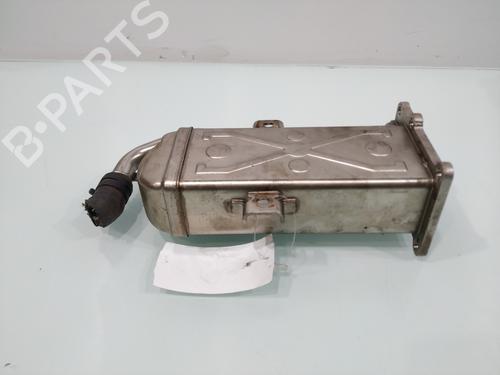 Egr VW PASSAT B7 Variant (365)  | BP29532165M69 