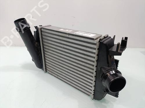 Intercooler DACIA SANDERO III | BP31309520M30