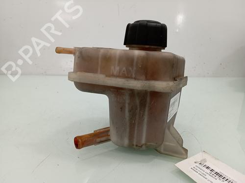 Used Expansion tank NISSAN QASHQAI / QASHQAI +2 I (J10, NJ10, JJ10E) 1.5 dCi (106 hp) 12469997