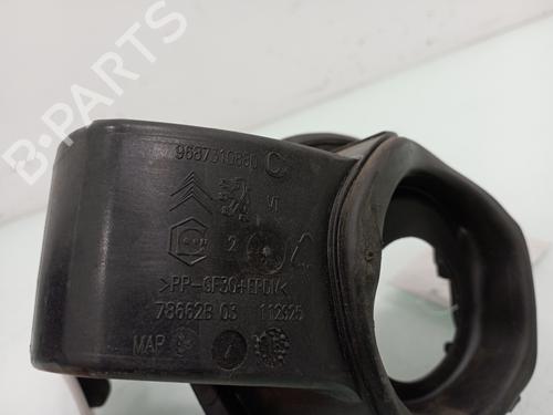 Fuel flap CITROËN C4 II (NC_)  | BP15204401C131