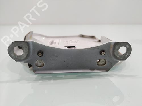 Fuel flap DACIA SANDERO II  | BP24869042C131
