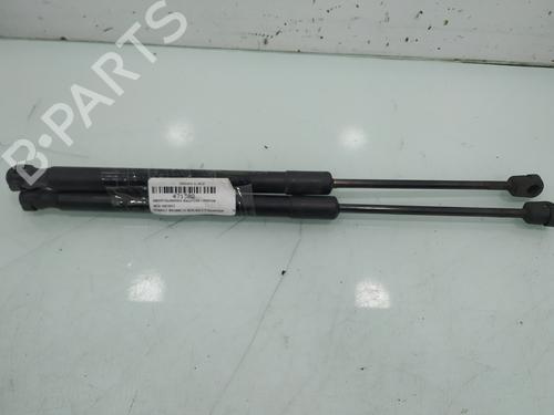 Used Tailgate lift support RENAULT MEGANE III Hatchback (BZ0/1_, B3_) 1.5 dCi (BZ09, BZ0D, BZ1W, BZ29, BZ14) (110 hp) 19259946