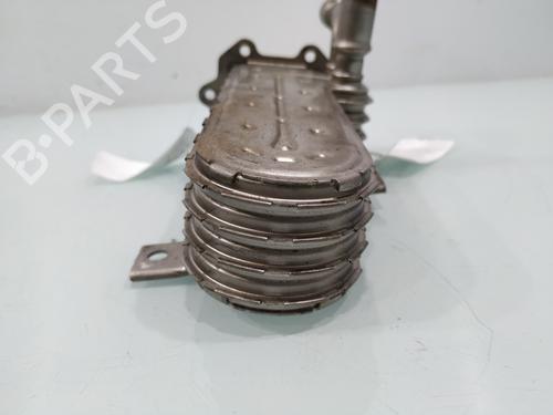 Egr VW GOLF V (1K1) | BP31885208M69