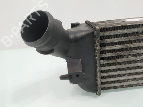 Intercooler PEUGEOT 407 (6D_) 2.0 HDi 135 (6DRHRH, 6DRHRE, 6DRHRG, 6DRHRJ) | BP28036064M30 