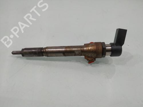 Injector RENAULT MEGANE II (BM0/1_, CM0/1_) | BP31251110M100