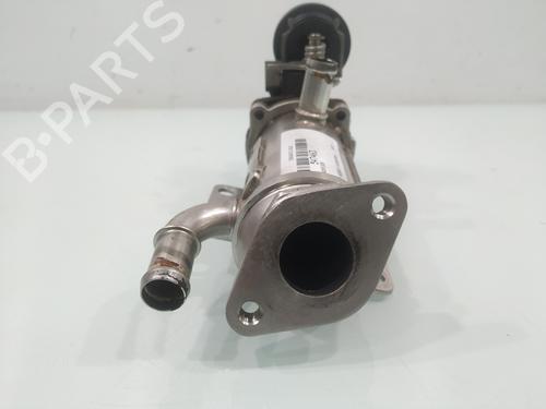 Egr RENAULT SCÉNIC II (JM0/1_) | BP30511209M69