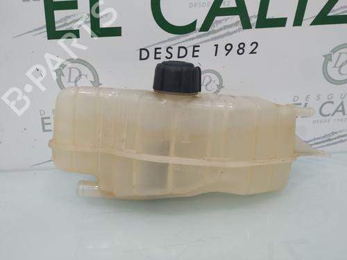 Expansion tank RENAULT CLIO III (BR0/1, CR0/1) 1.2 16V (BR0R, BR1D, BR1L, CR0R) | BP8089247C120 