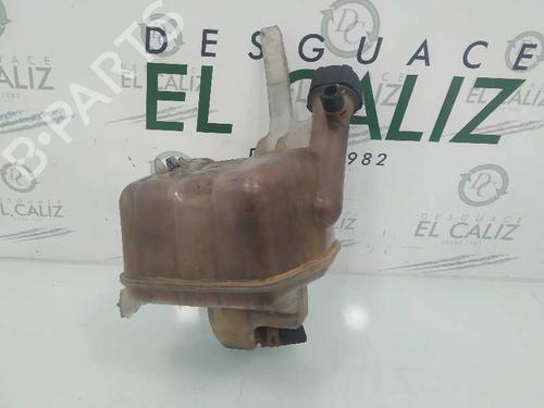 Expansion tank RENAULT VEL SATIS (BJ0_) 2.2 dCi (BJ0E, BJ0F, BJ0G, BJ0H) (140 hp) 8200459275 | 8200459275 |