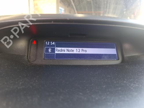 Display für RENAULT MEGANE III Hatchback (BZ0/1_, B3_) 1.5 dCi (BZ1G, BZ1W, BZ0R) (95 hp) 31828360